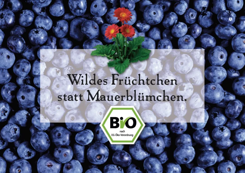 Plakat mit Blaubeeren im Hintergrund, davor steht " Wildes Früchtchen statt Mauerblümchen"