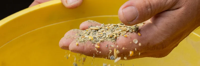 Hand mit Futtermittel