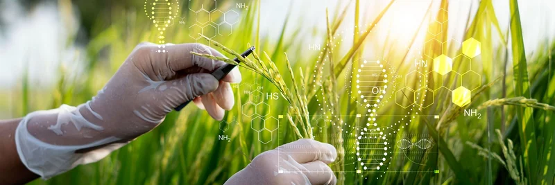 Eine Hand mit Laborhandschuhen, die mit einer Pinzette an einem Grashalm zupft. Im Hintergrund sind schematisch DNA-Stränge abgebildet.