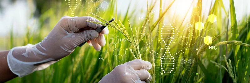 Eine Hand mit Laborhandschuhen, die mit einer Pinzette an einem Grashalm zupft. Im Hintergrund sind schematisch DNA-Stränge abgebildet. 