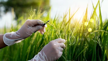 Eine Hand mit Laborhandschuhen, die mit einer Pinzette an einem Grashalm zupft. Im Hintergrund sind schematisch DNA-Stränge abgebildet. 