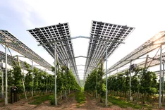 Bürgerbeteiligung bei Agri-PV-Anlagen