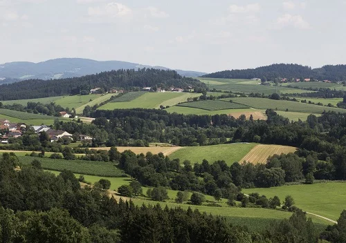 Hügellandschaft mit Wiesen, Ackerflächen und Hecken. Klick führt zu Großansicht im neuen Fenster.