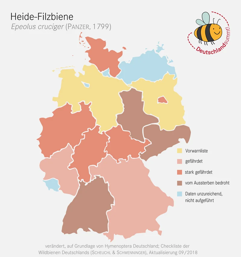 Verbreitungskarte Heide-Filzbiene. Klick führt zu Großansicht im neuen Fenster.