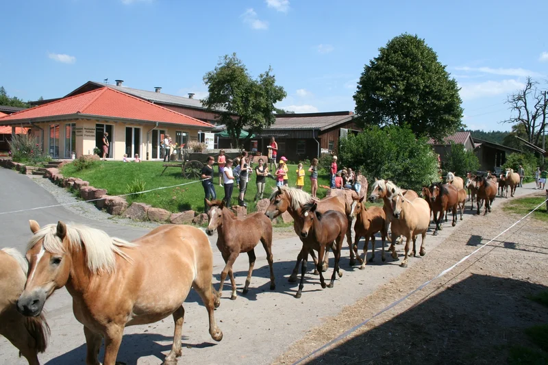 Hofladen des Kurgestüt Hoher Odenwald in Waldbrunn-Mülben, Klick führt zu Großansicht im neuen Fenster