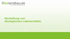 Herstellung von ökologischen Lebensmitteln (für Kinder)