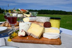 Bürgermolkerei Weimar – Milchproduktion in Bürgerhand