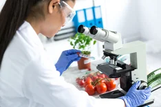 Sind Bio-Lebensmittel wirklich ungespritzt?