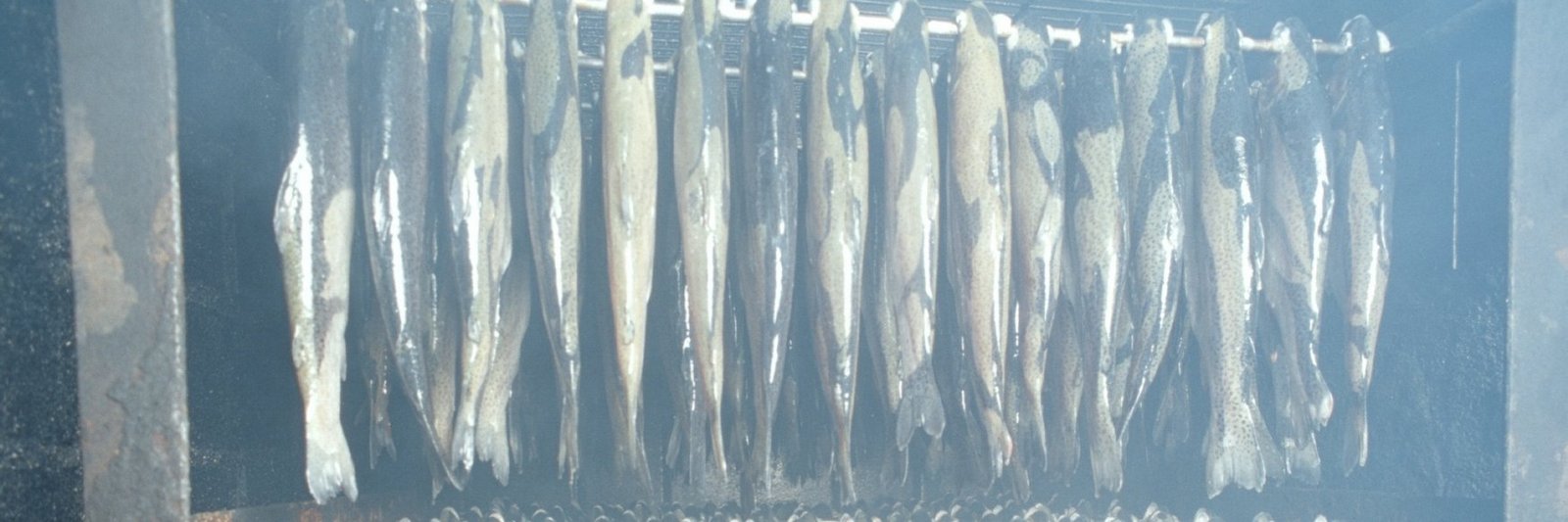 Geräucherter Fisch hängt im Räucherofen.