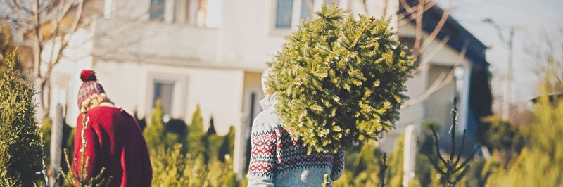 Mann trägt Weihnachtsbaum