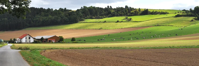 Landschaft mit Hof