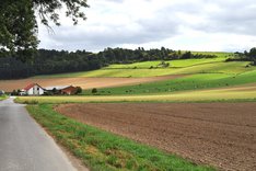 Wie Bio-Betriebe wirtschaftlicher arbeiten können