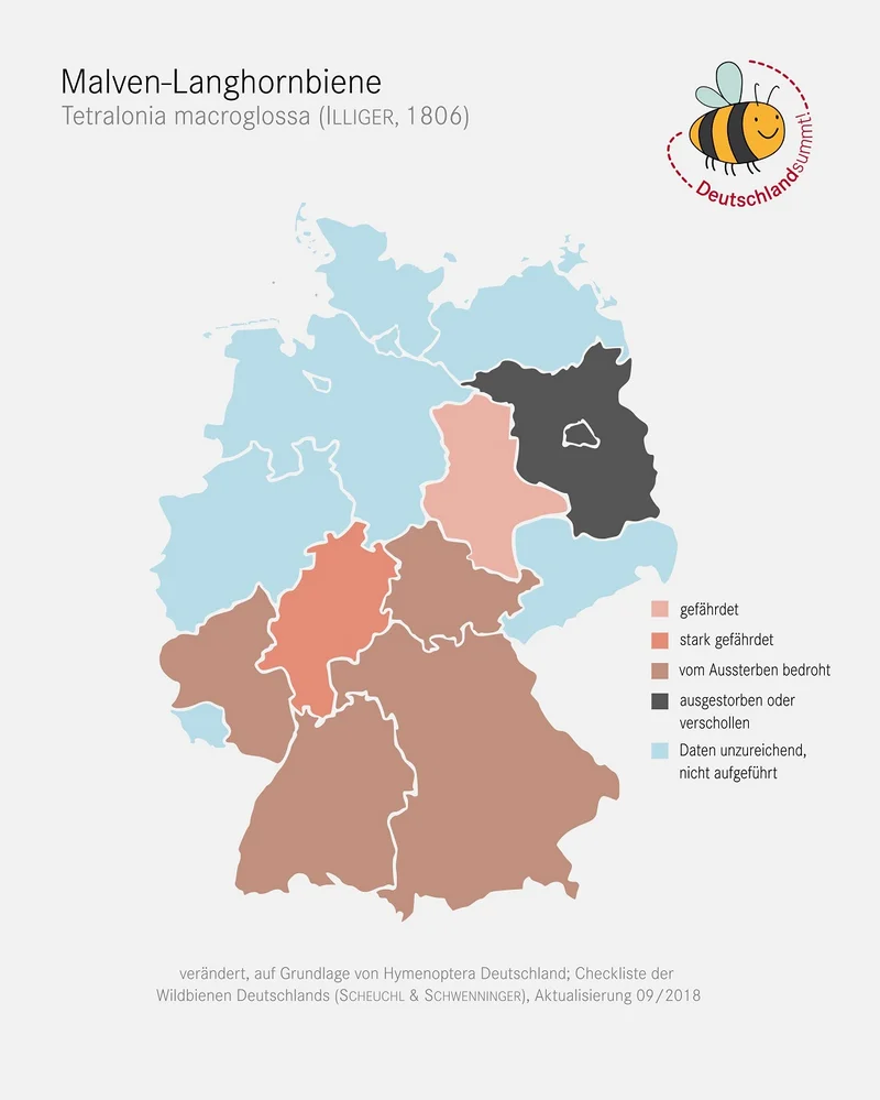 Verbreitungskarte der Malven-Langhornbiene. Klick führt zu Großansicht in einer Lightbox. Zum Schließen der Lightbox ESC drücken.