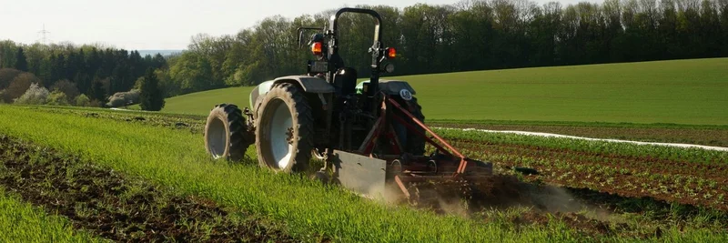 Schlepper auf Feld.