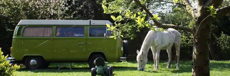 VW-Bus auf Obstwiese