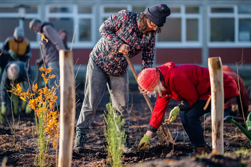 Zwei Frauen pflanzen Setzling für Tiny Forest. Klick führt zu Großsnansicht in neuem Fenster.