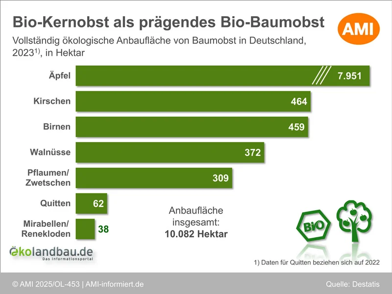 Infografik: In dem Balkendiagramm ist die Anbaufläche von Bio-Baumobst in Deutschland dargestellt. Jeder Balken symbolisiert eine Obstart. Klick führt zu Großansicht in neuem Fenster, schließen per ESC.