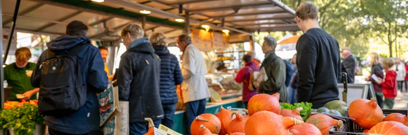 Menschen auf Markt, Kürbisse in Kisten.