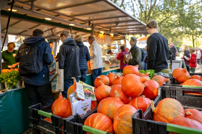 Menschen auf dem Markt, Kürbisse in Kisten. Quelle: Senatorin für Umwelt, Klima und Wissenschaft, BioStadt Bremen, 2025.