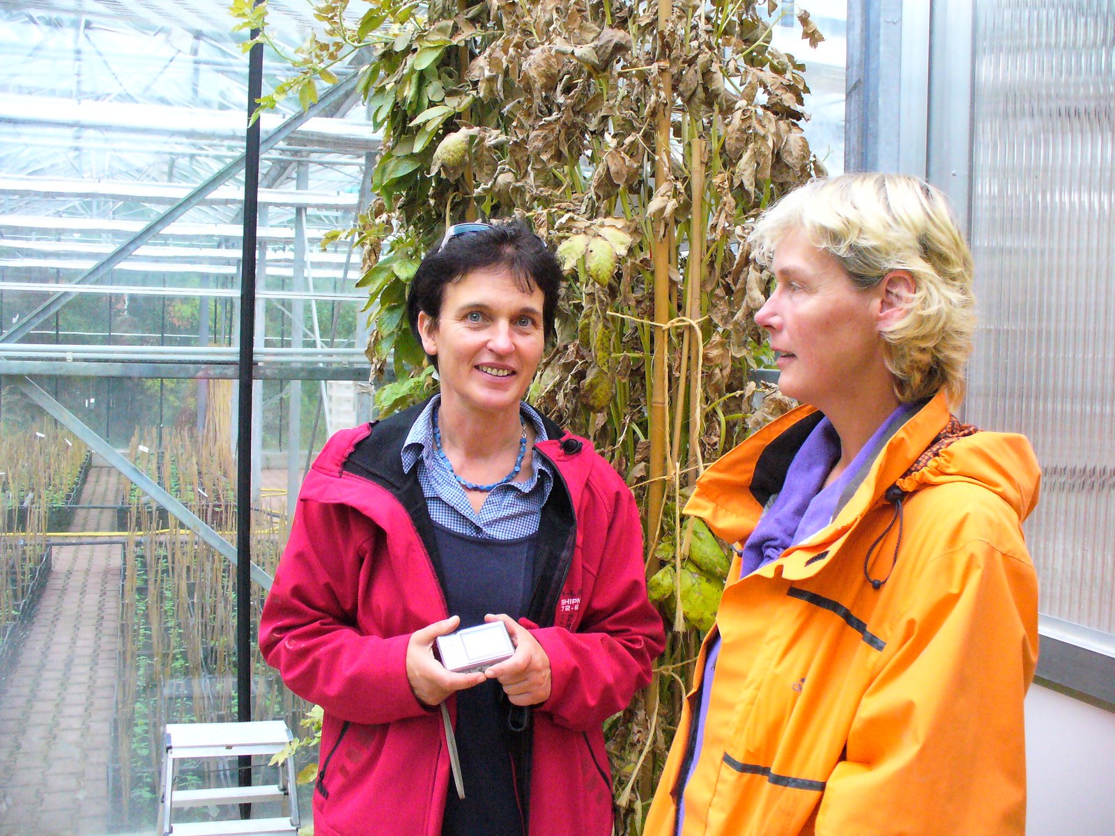 Kornelie Blumenschein und Petra Ellenberg, Klick führt zu Großansicht im neuen Fenster