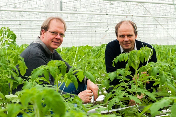 Carstens und Dörscher, Klick führt zu Großansicht im neuen Fenster