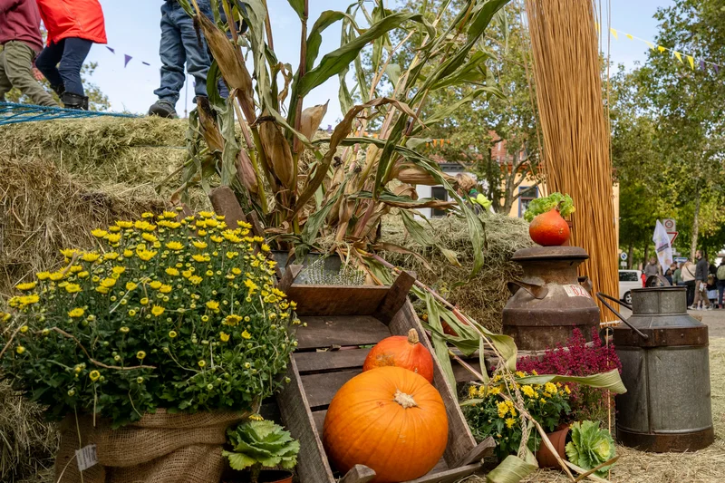 Herbstdeko: Heuballen und Kürbisse. Kinder springen auf Heuballen. Klick führt zu Großansicht in Lightbox. Schließen über Escape.