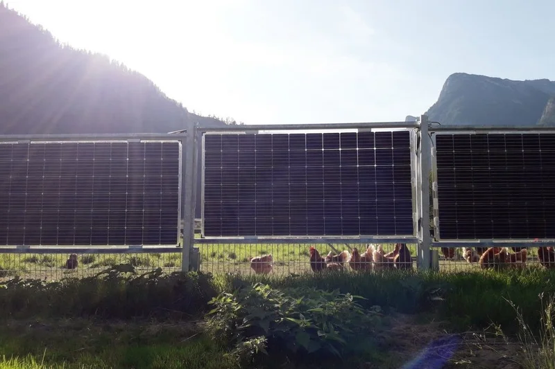 Bifaziales Solarmodul als Zaun. Klick führt zu Großansicht in neuem Fenster.