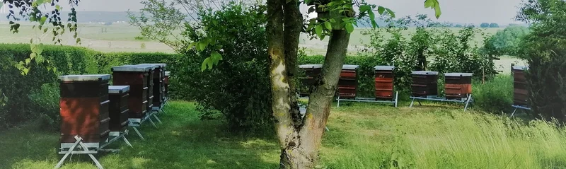 Projekt VITALBIENE