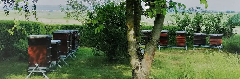 Bienenkästen.