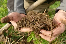Regenerative Landwirtschaft: Was steckt dahinter?