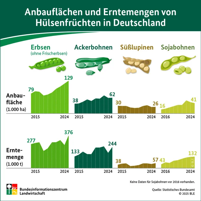 Infografik zum Anbau von Hülsenfrüchten. Klick führt zu Großansicht in neuem Fenster.