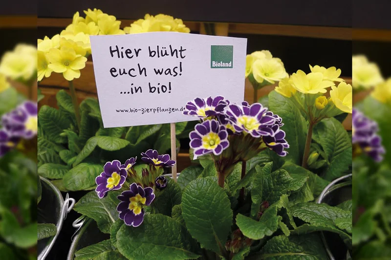 Nachhaltiger und ökologischer Anbau von Bio-Zierpflanzen