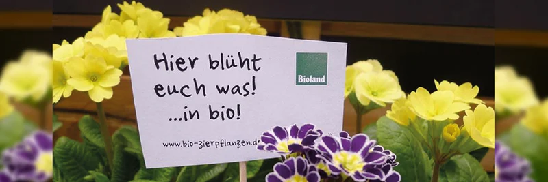 Zierpflanzen, Foto: Bioland