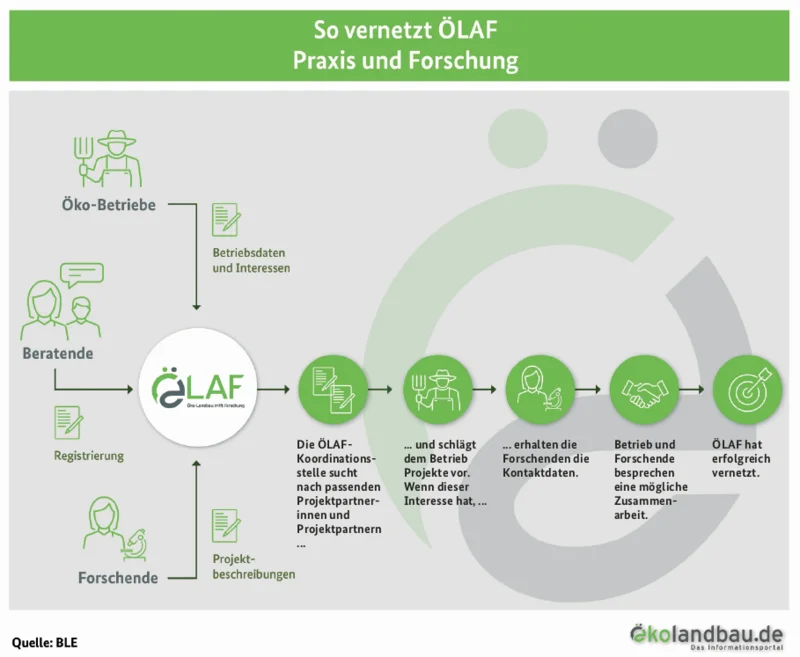 Ablauf Vernetzung ÖLAF Infografik mit schematischen Ablauf der Vernetzung auf ÖLAF. Klick führt zu Großansicht in neuem Fenster, schließen per ESC.