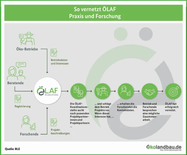 Grafik, die den Ablauf der Vernetzung auf der Plattform ÖLAF erklärt. (Klick führt zu Großansicht in einer Lightbox. Zum Schließen der Lightbox ESC drücken.)