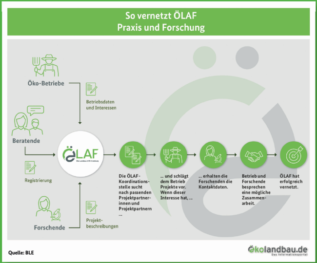 Grafik, die den Ablauf der Vernetzung auf der Plattform ÖLAF erklärt.  (Klick führt zu Großansicht in einer Lightbox. Zum Schließen der Lightbox ESC drücken.)
