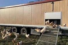 Aufbau von Wertschöpfungsketten für regionale Zweinutzungshühner in Baden-Württemberg