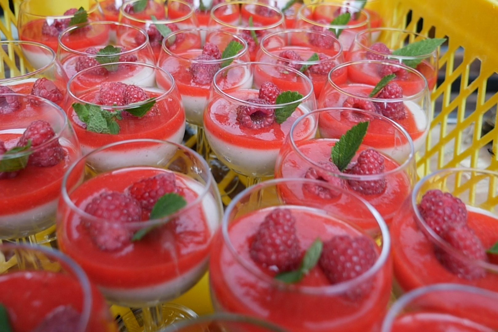 Panna Cotta 