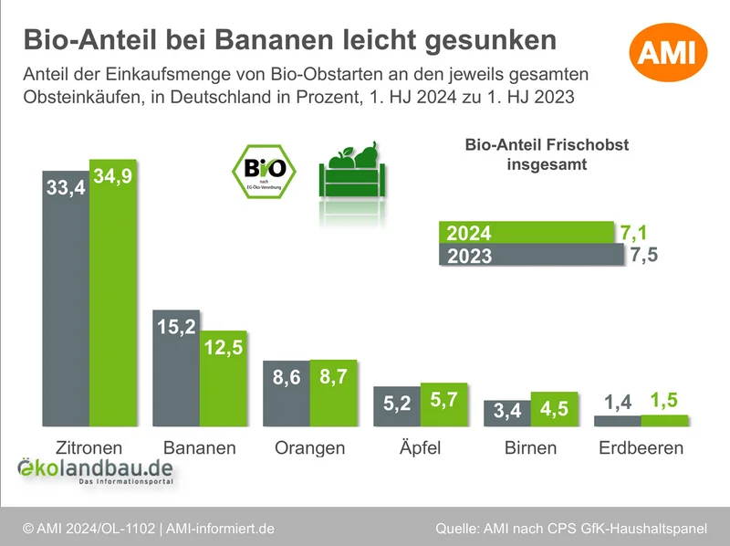Bio-Anteile an Einkaufsmenge der Privathaushalte in Deutschland bei ausgewählten Obstarten im ersten Halbjahr 2024. Klick führt zu Großansicht in neuem Fenster.