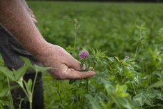 Energieeffizienz in der Landwirtschaft