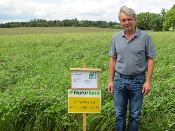 Mann steht for Erbsen-Feld. Klick führt zu Großansicht in neuem Fenster.