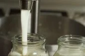Abfüllung von Milchprodukten in Gläser. Klick führt zu Großansicht.