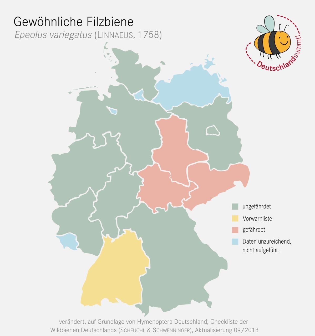 Nachweiskarte und Gefährdung der Gewöhnlichen Filzbiene in Deutschland. Klick führt zu Großansicht in neuem Fenster.
