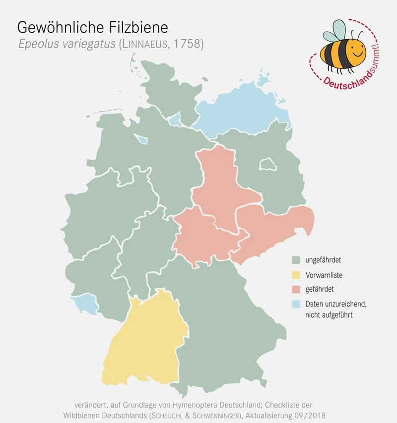Nachweiskarte und Gefährdung der Gewöhnlichen Filzbiene in Deutschland. Klick führt zu Großansicht in neuem Fenster.