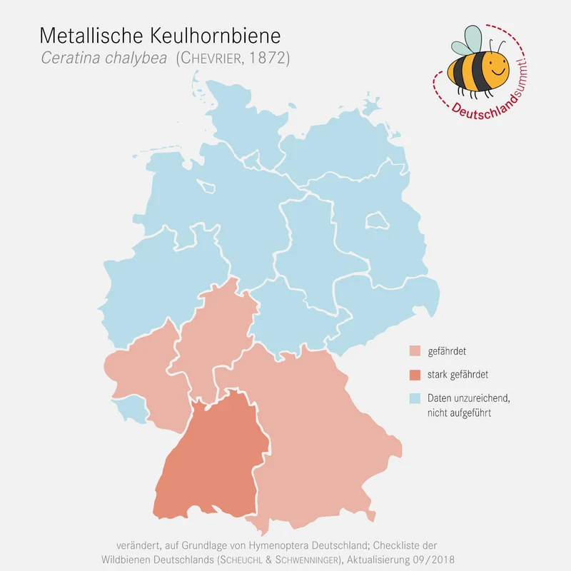 Grafik der Verbreitungskarte der Metallische Keulhornbiene. Klick führt zu Großansicht.