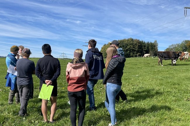 Junge Menschen, wie sie auf einer Weide stehen und Kühe beobachten.