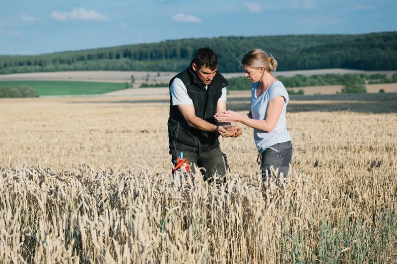 Mann und Frau auf Feld. Foto: fotografixx / E+ via Getty Images
