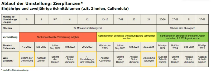 Umstellungsbeispiel für Zierpflanzen. Klick führt zu Großansicht im neuen Fenster.