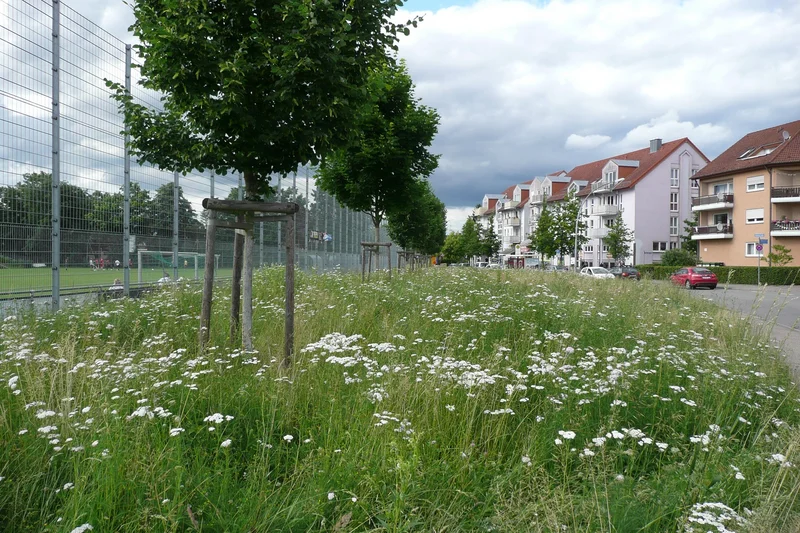 Straßenzug mit Bäumen und Beet, Klick führt zu Großansicht