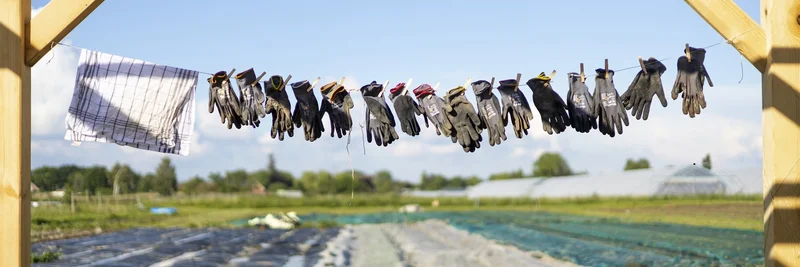 Handschuhe auf Wäscheleine